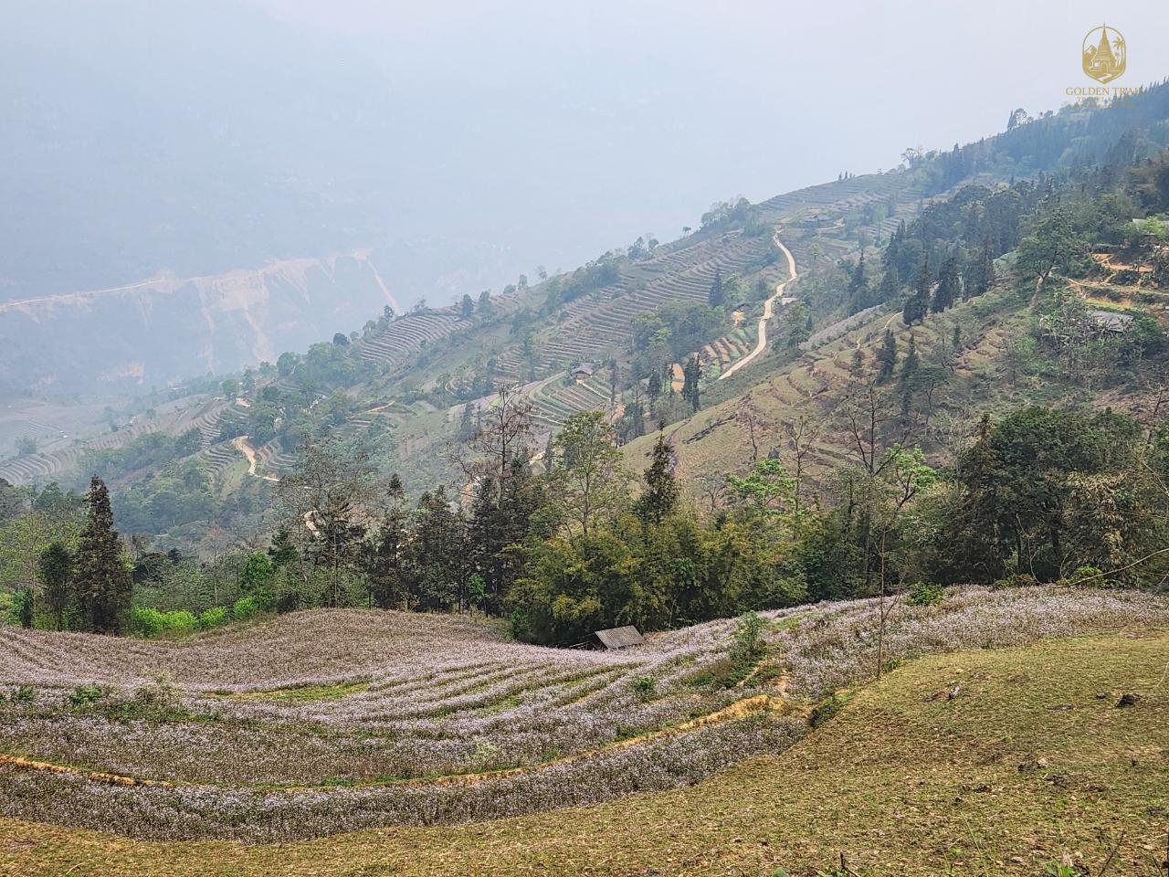 Gravel Biking Vietnam: An Epic Journey Through Untamed Roads and Hidden Wonders